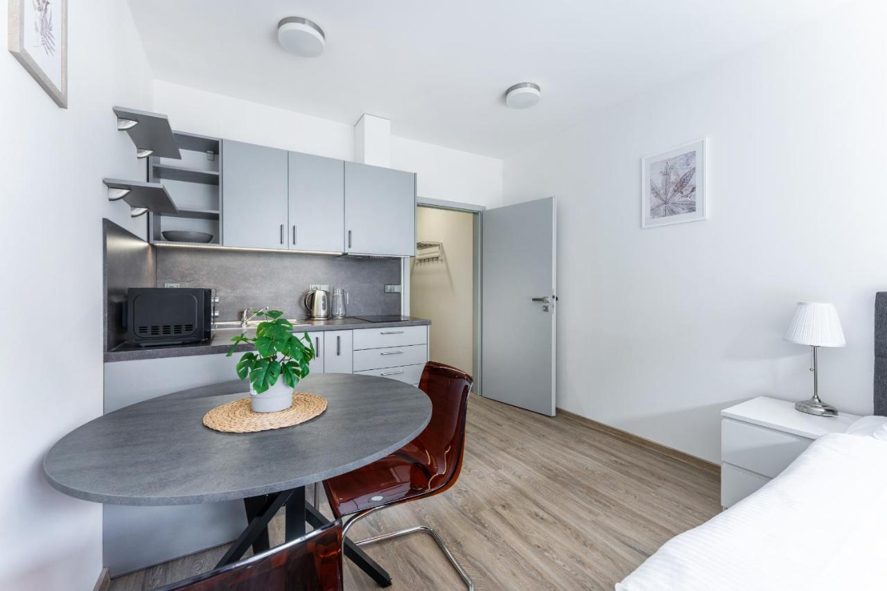 Apartman V Podebradech Poděbrady Εξωτερικό φωτογραφία