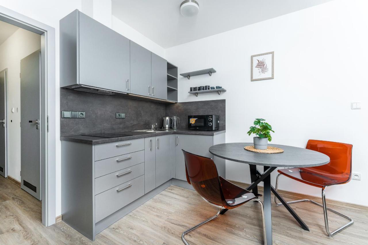 Apartman V Podebradech Poděbrady Εξωτερικό φωτογραφία