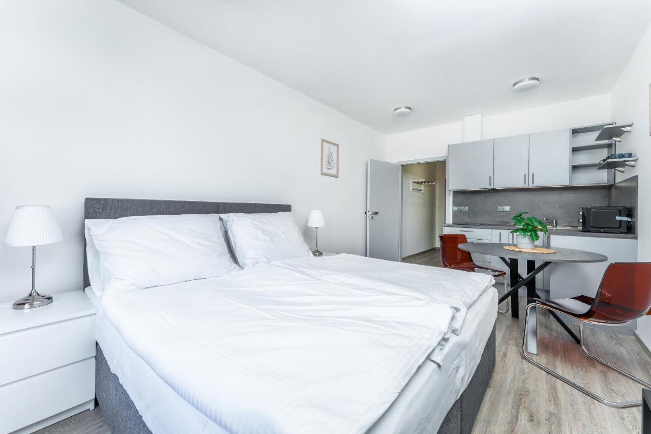 Apartman V Podebradech Poděbrady Εξωτερικό φωτογραφία