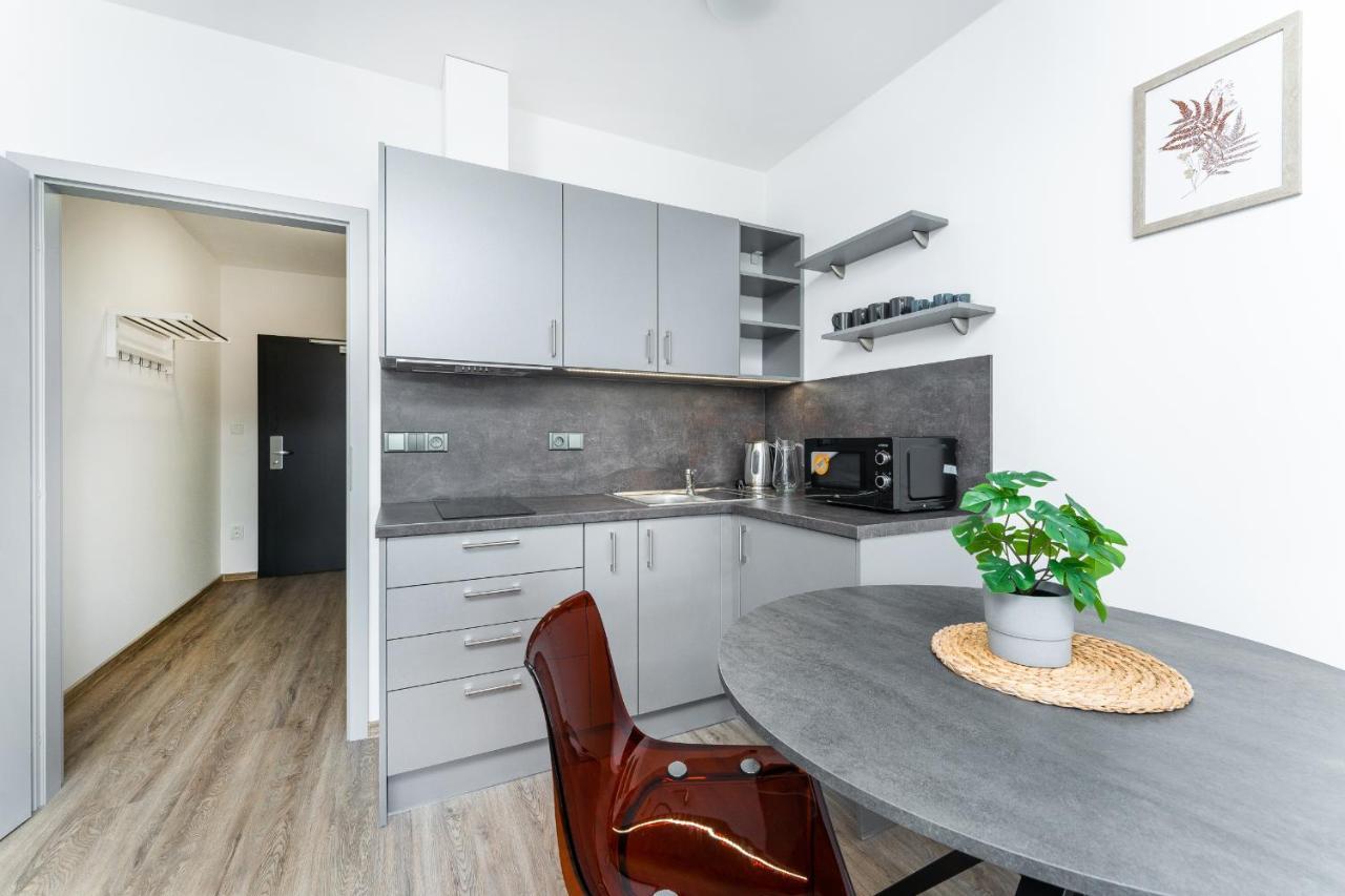 Apartman V Podebradech Poděbrady Εξωτερικό φωτογραφία