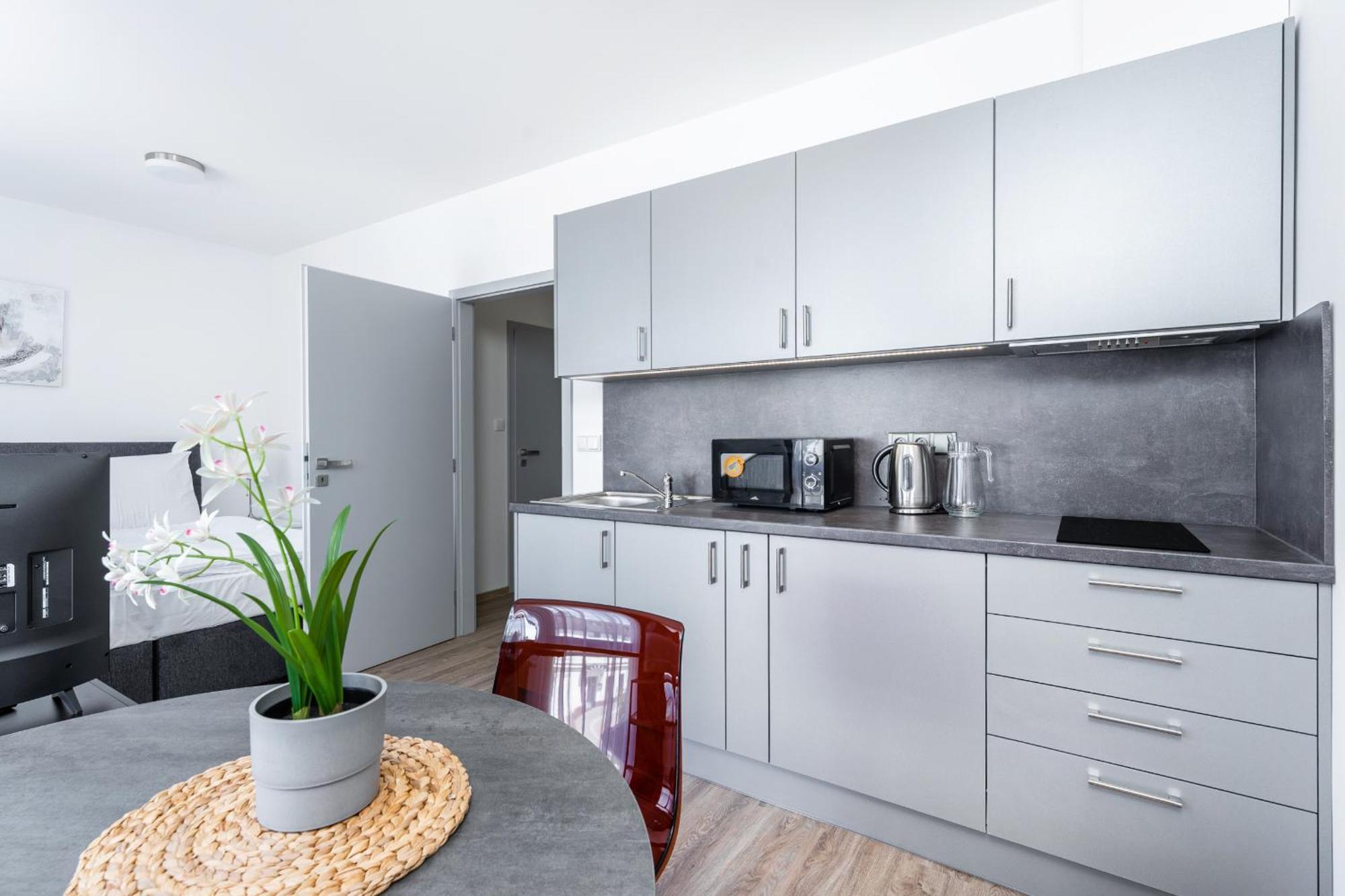 Apartman V Podebradech Poděbrady Εξωτερικό φωτογραφία