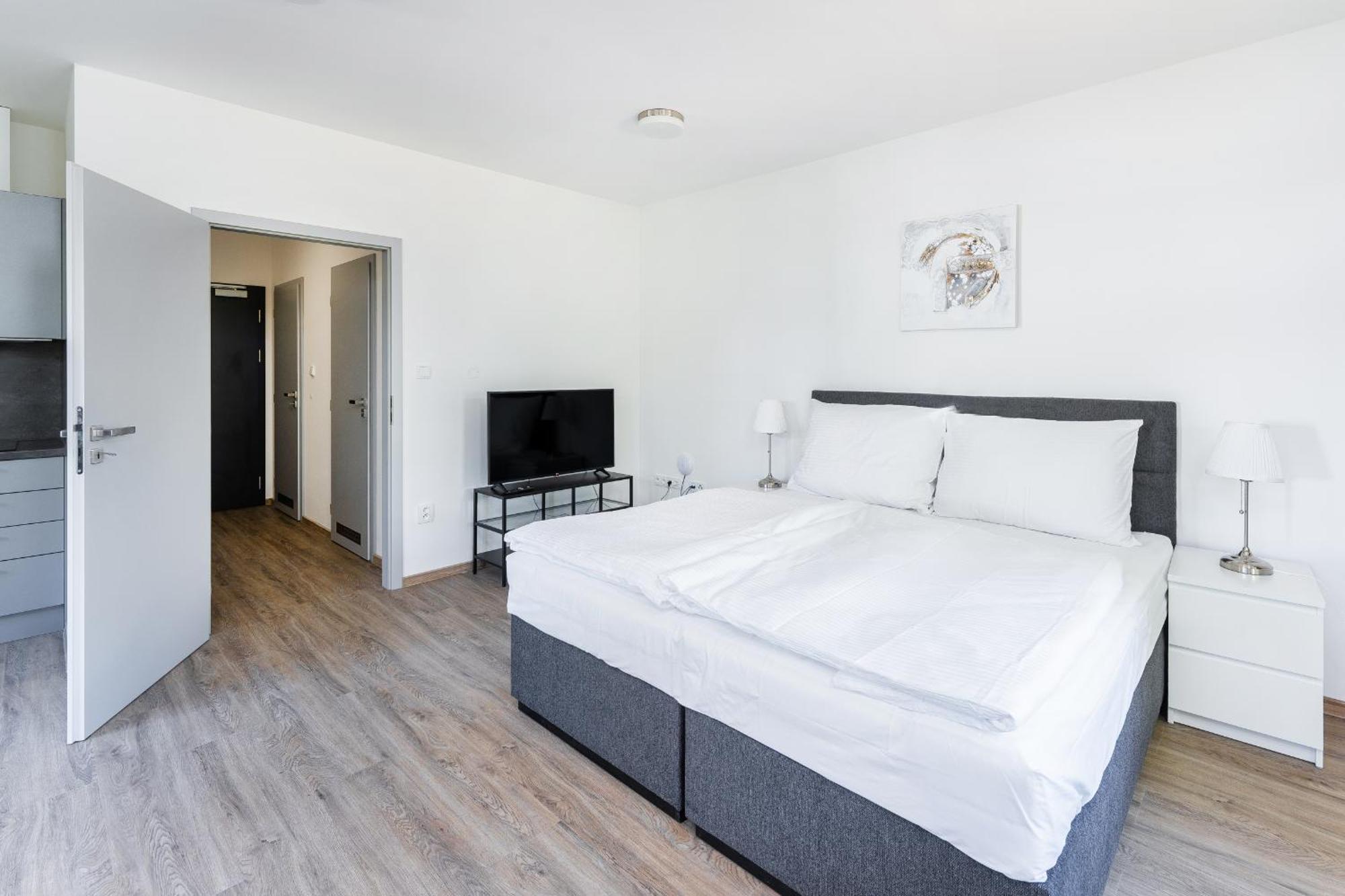 Apartman V Podebradech Poděbrady Εξωτερικό φωτογραφία