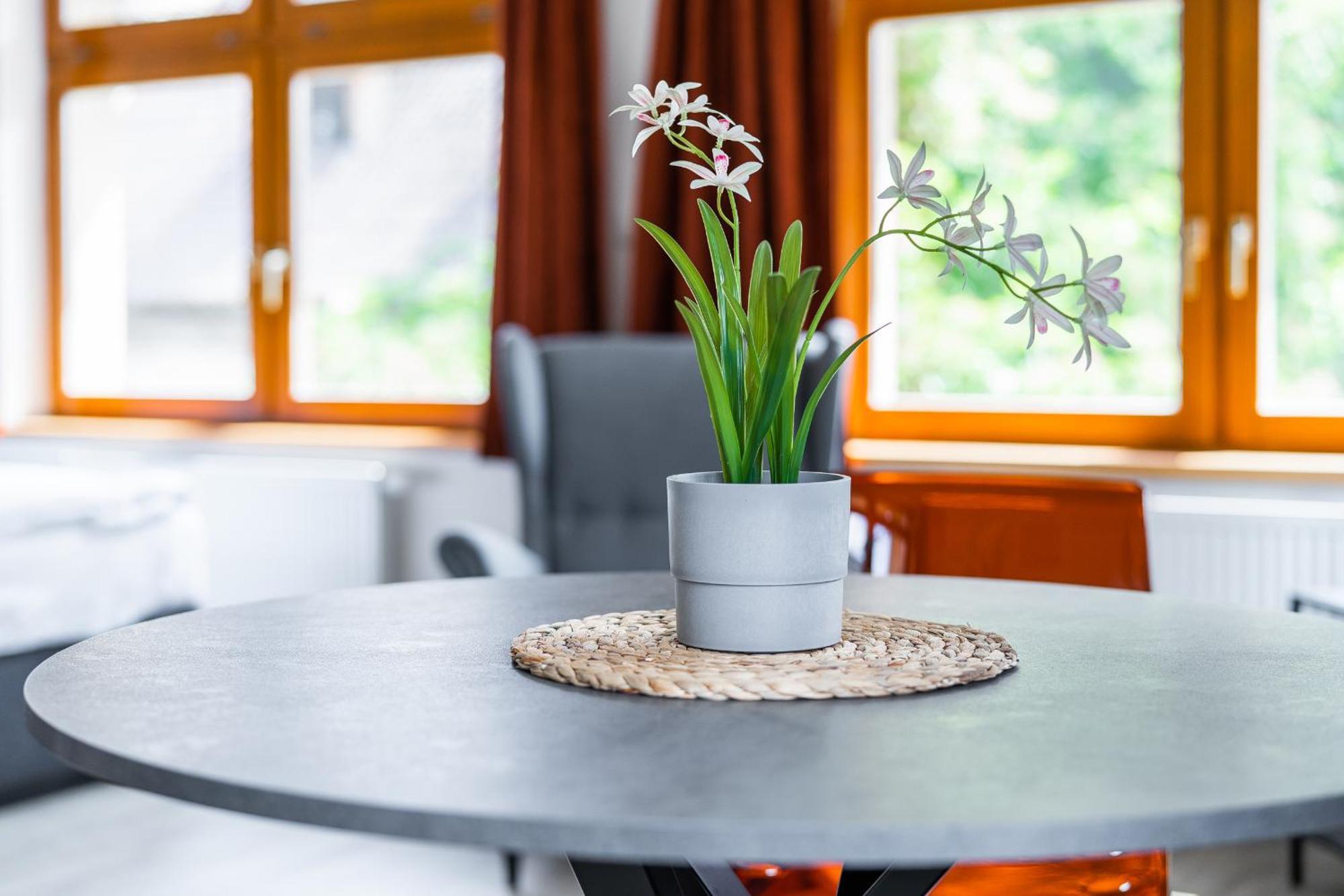 Apartman V Podebradech Poděbrady Εξωτερικό φωτογραφία