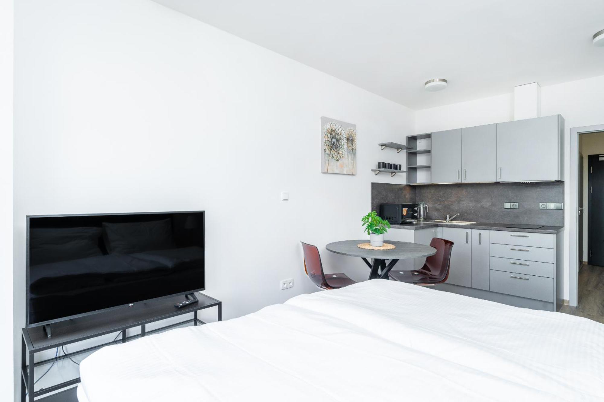 Apartman V Podebradech Poděbrady Εξωτερικό φωτογραφία